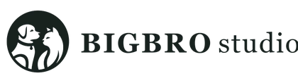 BIGBROSTUDIO