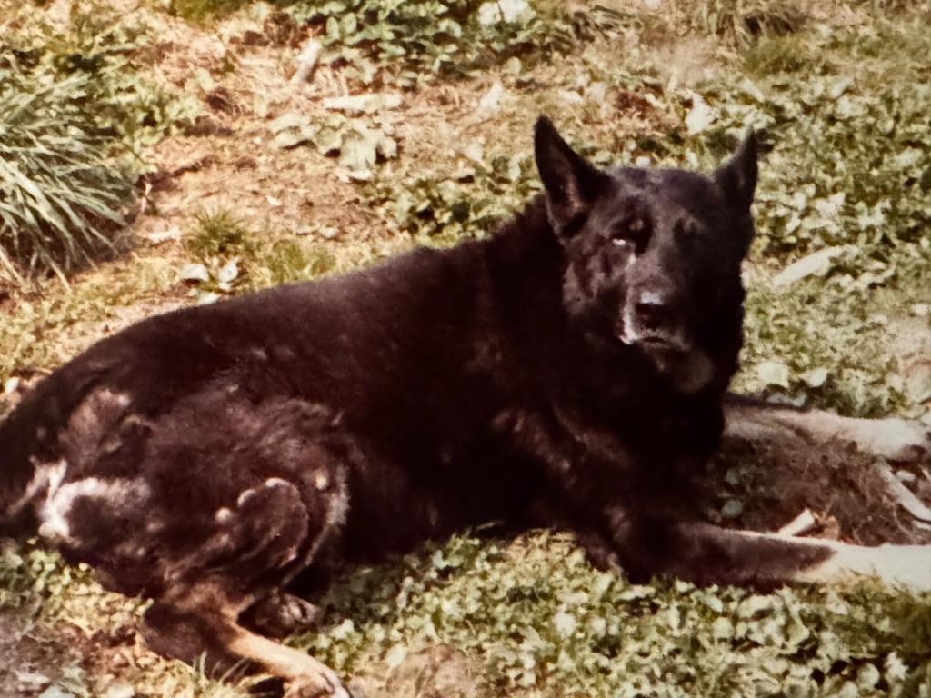 Original blurry vintage photograph of Gaucho